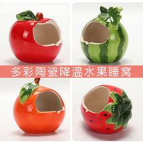 Hamster nest ceramic shell nest porcelain nest Golden Bear small nest small house hut cooling igloo sleeping nest summer supplies