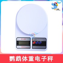 Parrot Bird Reptile climbing pet Tortoise Snake Rabbit Chinchilla Xuanfeng Weighing weight electronic scale range 1g-5kg