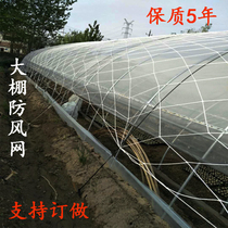 Staple net planting and breeding greenhouse windproof net nylon mesh large hole pressure film rope net WeatherNet greenhouse net