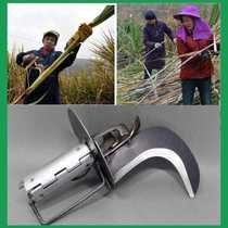 Household farmhouse sugarcane leaf leaf black rigid sickle cut sugar cane special leaf blade blade flexible repair sugar cane leaf push artifact