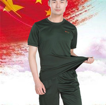 Physical training suit Martial arts physical fitness suit T-shirt military training suit new short-sleeved pants suit quick-drying summer