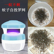 Mosquito killer lamp Infant pregnant woman mosquito repellent lamp artifact Indoor anti-mosquito dormitory bedroom silent UV 2021 new