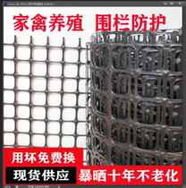 Plastic fence Breeding fence net protection chicken net Chicken thickening outdoor chicken net protection Corn hole net