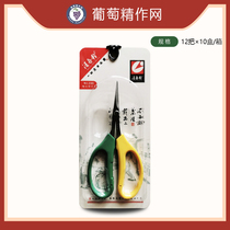 Wang Wuquan Fruit tree scissors Garden upturned head gardening scissors Grape pruning shears Grape shears Association designated section