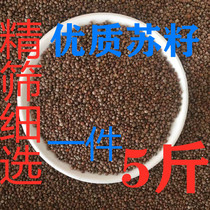 Suzi Perilla black Suzi bird bird food Parrot Canary Hibiscus bird Jade bird Yellow bird bird food 5 pounds