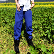 Beijing forest outdoor summer elastic loose quick-drying pants casual literature and art Harun thin autumn breathable quick-drying pants for women
