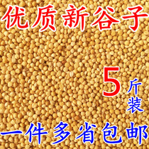Parrot grain shelled yellow millet bird food bird food feed tiger skin peony xuanfeng horizontal class shelled millet