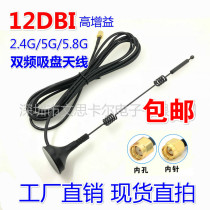 2 4G 5G 5 8G Dual-band small suction cup antenna 12dbi wireless routing SMA omnidirectional high gain wifi antenna