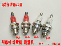 Gasoline saw lawn mower hedge trimmer brush cutter two-stroke spark plug L7T BM6A fire nozzle
