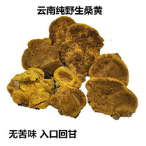 Phellinus Yunnan wild Ganoderma lucidum a catty of natural Mulberry Mulberry Super bulk Phnom Penh dry goods 500g