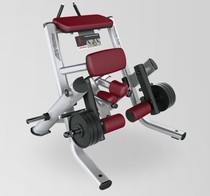 Original American LIFEFITNESS Lijian excellent hanging piece upright leg bending trainer SPLKLC