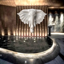 Stone carving water spray wall hanging water fountain elephant head sculpture fish pond wall outlet stone beast head creative animal nozzle