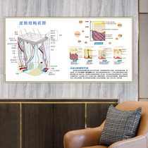 Modern Beauty Salon Decoration Painting Body Skin Chart Microshaping Propaganda Poster Skin Management Center Hung Painting