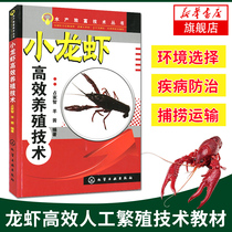 小龙虾高效养殖技术龙虾人工繁殖技术教材小龙虾养殖龙虾养殖技术大全渔农龙虾养殖参考用书病虫害防治占家智羊茜新华书店正版