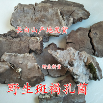 Changbai Mountains wild spot brown hole plaque Brown Ganoderma lucidum spot brown hole plaque Brown wild 500g