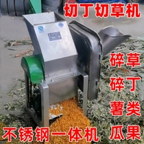 Melon and fruit dicing machine multifunctional agricultural shredder 220V household small shredder radish chopping chicken and sheep