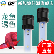 Qianhu dragon fish lamp special aquarium lamp color color lamp aquatic lamp aquarium lamp LED lamp lamp waterproof magic lamp parrot fish