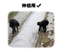 Special film for agricultural small arches White Transparent thickened greenhouse two-layer insulation film protective film packaging