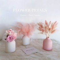 ins ostrich feather rabbit tail grass dry flower bouquet everlasting flower decoration home decoration mini ceramic vase Net Red