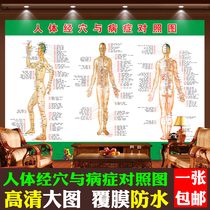 A set of three high-definition poster pictures of household hanging pictures of meridian acupoints and diseases