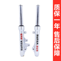 Suitable for Skyhawk Eagle Diamond HJ125T-10A-10E-16A C D front shock absorber shock absorber front fork