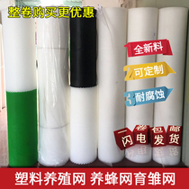 Thickened whole roll plastic flat net breeding net plastic mesh foot pad chicken duck and goose brood leakage dung beekeeping net