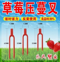 Full-net extended strawberry fork substrate seedling Vine Press watermelon fork dropper fork round mouth extended strawberry fork