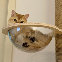 Net red cat climbing frame DIY accessories acrylic space capsule solid wood jumping platform Tongtianzhu cactus cat nest cat tree