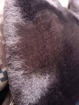 Camouflage cotton coat hat brown fur collar detachable inner tank vest vest shoulder accessories grass green cotton hat collar