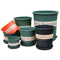 Plastic flowerpot factory direct gallon flowerpot Green rose meat large caliber clearance special gallon pot