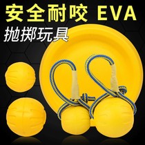 Pet interactive toy floating ball Frisbee special training Horse Dog border dog dog ball
