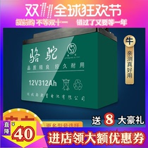Battery 12v Large Capacity Inverter Stalls Outdoor Audio Dry Lithium Battery 12v36ah Solar Battery