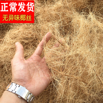 Coconut palm silk birds nest Grass parrot warm winter litter sawdust Jute silk pigeon Pearl bird chicken nest Fu Xuan Phoenix nest