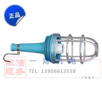 Marine business light CSD7 emergency light portable with lampshade waterproof 250V24V 60W direct sales