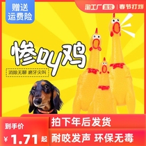 Beating chicken tip calling chicken sound trick toy pet bite-resistant puppy grinding teeth amuse cat dog teddy golden retriever to relieve boredom