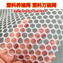 Thickened Plastic Flat Mesh Breeding Chickens special chickens Ducks Goose Surrounding with Chicken Coop Chicken Coop Leaking Dung Chicken Coop Cushion Yogling Nets Bed
