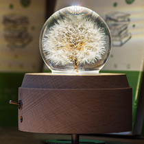 Dandelion Specimen Crystal Ball Music Box Music Box Girls Girlfriends Birthday Gifts Girls Children Christmas