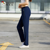 Woodpecker outdoor ice silk quick-drying pants womens 2023 summer new quick-drying pants mens windproof breathable sports casual pants