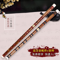 Flute beginner adult zero basic female children bamboo flute beginner gf tune two-section brass flute starter instrument