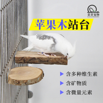 Parrot Platform Apple Wood Rest Terrace Solid Wood Springboard Bird Habitat Wood Xuanfeng Tiger Leather Peony Parrot Supplies Station Board Round