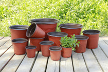 Simple thickening two-color pot disposable plastic flower pot nursery pot large nutrition Bowl Culture pot multi-meat planting pot