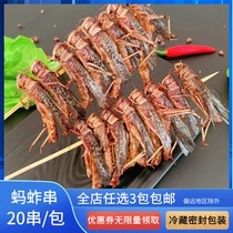 Grasshopper skewers net red commercial frozen grasshopper skewers Xiangxi small skewers barbecue fried Tengyang large meat skewers 20 skewers