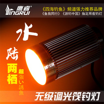 Eagle Rui underwater fish lure lamp new yellow light raft fishing lamp underwater water dual-use fishing lamp magnet fishing lamp