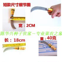 Taiwan Lianyi producer long Poly stainless steel pineapple knife small vegetable farmers professional kitchen knife kitchen heart knife