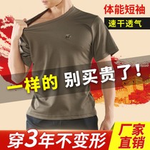Physical clothing short sleeve set physical training clothing new summer mens tactical training T-shirt round neck quick-drying clothing