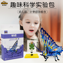 Playful Valley Primary School students science experiment set single product Childrens Technology small production invention handmade material work