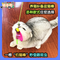 (Persimmon fungus) cat stick retractable cat toy self-Hi relief feathers strong sound pet interaction