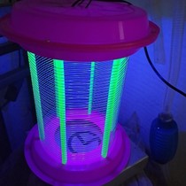 Mosquito-borne lamp shops Home Insect Repellent Interiors Interiors Trap to trap and kill anti-pythons plug-in-batter Outdoor 202