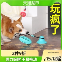 Dog sucker pull toy pet ball bite ball big dog bite resistant training Golden Hairy teeth play funny dog