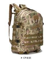Outdoor travel sports backpack mountaineering bag backpack mens 3D backpack large capacity three-level bag multi-function